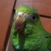 Robert Brad Cava - Facebook