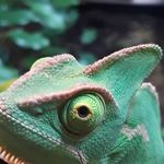 Robert Cave - @r.caveman - Instagram