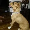 Robert Cave - @user7247209435111 - TikTok