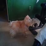 Robert Celaya - @robertcelaya - Instagram