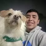 Robert Cerna Huerta - @robertcernah - Instagram
