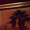 robertchalker553 - @robertchalker553 - TikTok