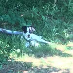 Robert J Challender - @robertchallender - Instagram