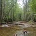 Robert Chamblee - Facebook