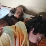 Roberta Chappuis - @robertachappuis - Instagram