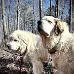 Robert Michel Charest - @rmcharest - Instagram