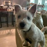 Robert Chase - @robertchase5 - Instagram