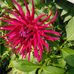 Robert Chell - Facebook