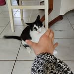 elea Chevrier Robert - @eleachevrierrobert - Instagram