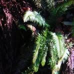 Robert Chickering - Facebook