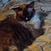 Bob Chismar - Facebook