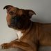 Robert Cholewa - Facebook