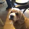 Robert Christianson - @robert.christians57 - TikTok