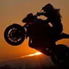 Roberta Cialdini - @roberta.cialdini - TikTok