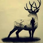 Robert Cieśla - @r_ciesla - Instagram