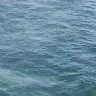 Roberto Cintron - @robertocintron4 - TikTok