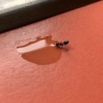 Robert Clapp - @robioto - Instagram