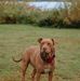 Robert Claridge - Facebook