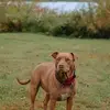 Robert Claridge - @robert.claridge - TikTok