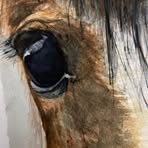 Robert Clatworthy - Facebook