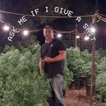 Robert Clelland - @rboboom - Instagram