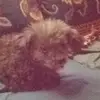 Robert Clokey - @robertclokey - TikTok