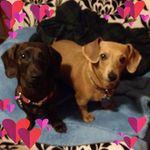 Roberta Cloke - @robertacloke - Instagram