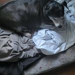 Robert Cloud - @robertcloud67 - Instagram