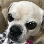 Robert C Pennington - @robertclydepennington - Instagram
