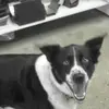 Robert Clyde928 - @robertclyde928 - TikTok