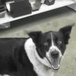 Robert Clyde - @robert.clyde.73 - Instagram
