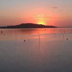 Roberto Cocchini - @robertococchini - Instagram