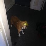 Robert Dale Coddington - @rcoddin10 - Instagram