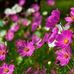Robert Codling - Facebook
