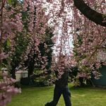 Robert Coffield - @robert.coffield - Instagram