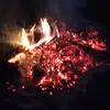robertscoffield - @robertscoffied - TikTok
