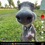 Robert Cogdill - @rcogdill9 - Instagram