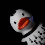 Robert Coincoin - @robertcoincoin - Instagram