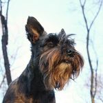 Robert Colgan - @photorobster01 - Instagram