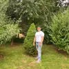 Robert Collado - @robert.collado6 - TikTok