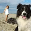Roberta Colla - @roberta.colla82 - TikTok