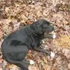 robert.coltrane2003 - @robert.coltrane20003 - TikTok