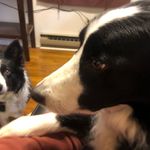 Robert Comins - @exsci74 - Instagram