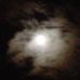 Robert Conant - Facebook