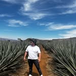 Roberto Conde - @robert_conde.77 - Instagram