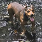 Robert Conner - @bobbyconner - Instagram