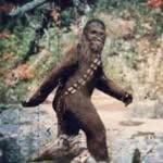 Robert Connery - @chewfoot - Instagram