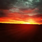 Robert Conroy - @robbo_6120 - Instagram