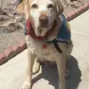 Robert Conti - @robert.conti4 - TikTok