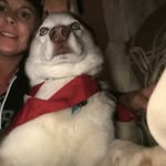 Robert Cookson - @rcookson73 - Instagram